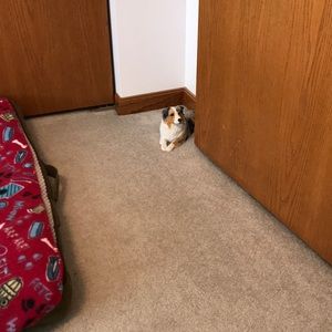 Meet your Posher, Rita